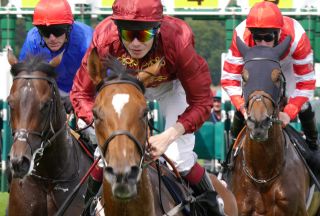 競馬